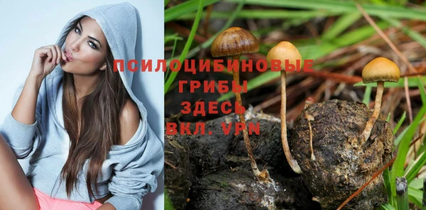 бошки Вязьма